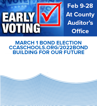  Early voting image
